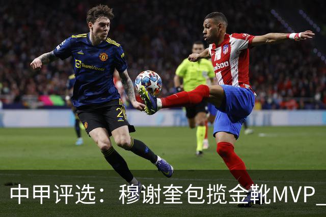 中甲评选：穆谢奎包揽金靴MVP 李金羽最佳教练