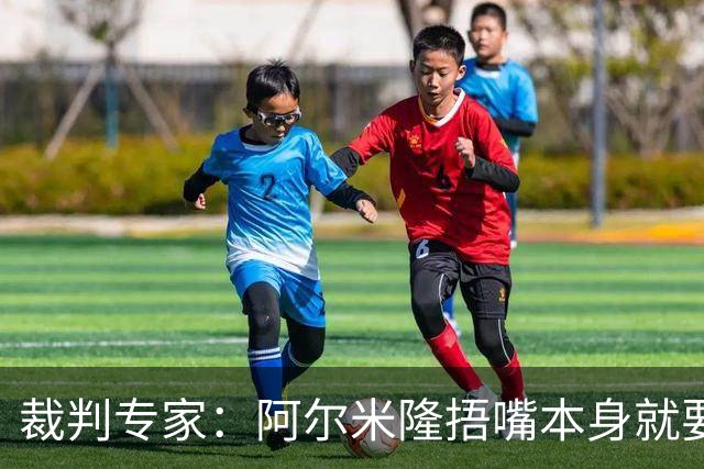 裁判专家：阿尔米隆捂嘴本身就要吃红牌，处罚力度取决于说了什么